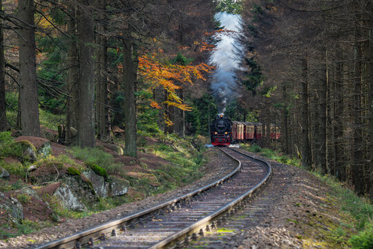 View of a vintage steam train traveling along railway tracks through a dense forest with colorful autumn foliage and rising smoke in Germany.