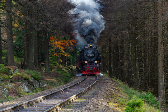 View of a vintage steam locomotive traveling through a dense forest with tall trees and autumn foliage in Germany.