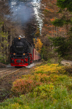 View of a historic steam locomotive traveling through a dense forest with vibrant autumn foliage and steam rising from the engine in Germany.