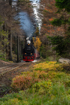 View of a historic steam locomotive traveling through a dense forest with autumn foliage and tracks in Germany.