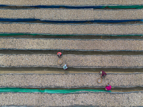 Cox's Bazar, Bangladesh - 11 March 2026: Aerial view of workers sorting fish on long drying racks in the coastal region.