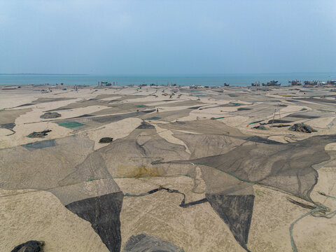 Aerial view of large black fishing nets spread across the sandy beach with the ocean in the background in Cox's Bazar, Chittagong Division, Bangladesh.