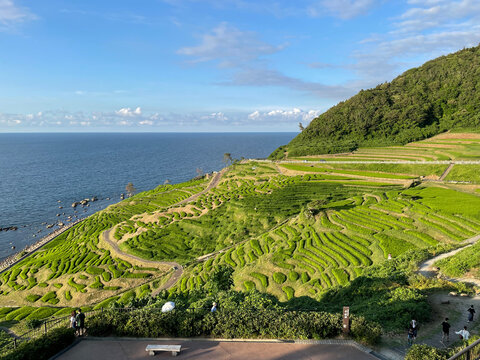 Panoramic view of Shiroyone Senmaida rice terraces and the Sea of Japan in Ishikawa
