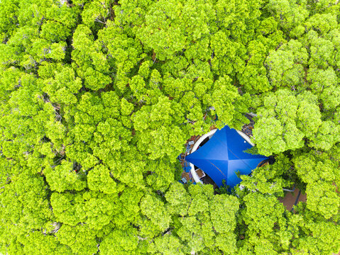 Aerial view of a blue shade structure nestled within the lush green canopy of Edith Wolfson Park in Tel Aviv-Yafo, Tel Aviv District, Israel.