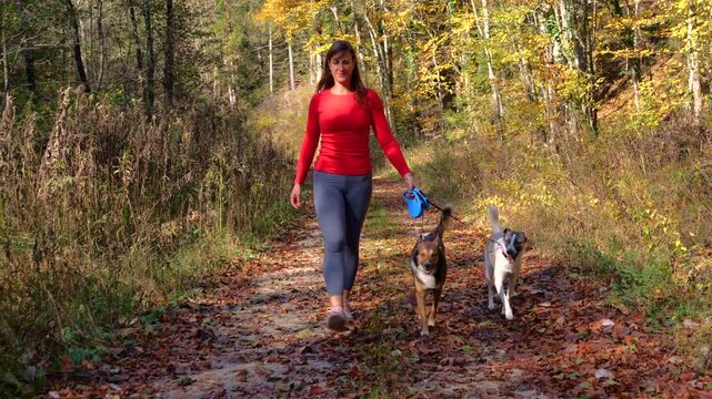 Smiling young woman strolls with two mixed breed dogs along a sunlit woodland trail in Dolenjska, Slovenia. Golden foliage and fallen leaves surround the trio during an authentic autumn walk in nature