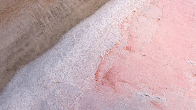Aerial view of cracked pink salt crust and pale mineral layers forming an intricate organic pattern in France.