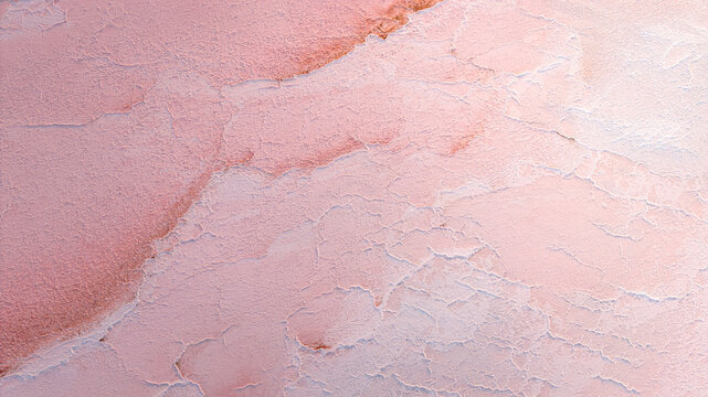 Aerial view of cracked pink salt crust and pale mineral layers forming an intricate organic pattern in France.