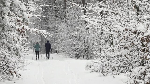 Cross-country skiers in the distance traveling through a snow-covered forest trail near Ermelo in the Netherlands. Outdoor recreation, winter sports, and natural beauty in a rare Dutch winter setting.