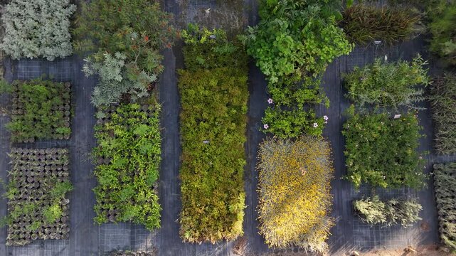 Aerial view of various potted plants and shrubs arranged in neat rows at a nursery in Cascais, Lisboa, Portugal.