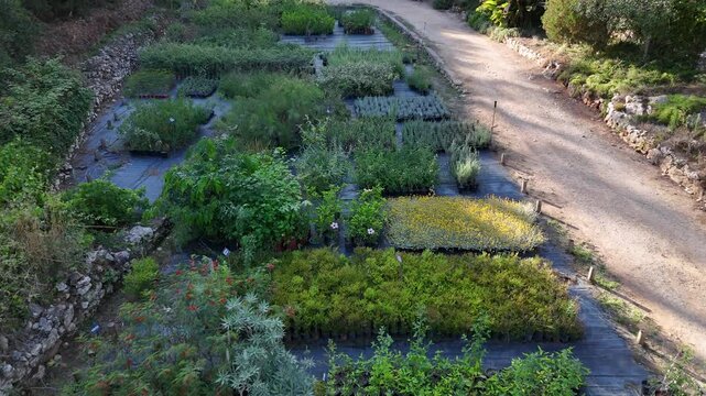 Aerial view of a plant nursery with rows of potted plants, a gravel path, and stone walls in Cascais, Lisboa, Portugal.