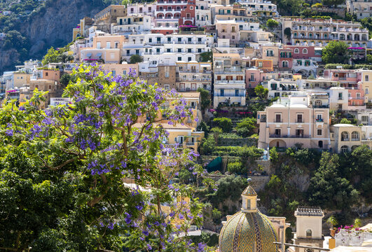 Aerial view of Positano with colorful Mediterranean houses built into the steep hillside, featuring a tiled dome in the foreground and purple jacaranda flowers, Positano, Campania, Italy.