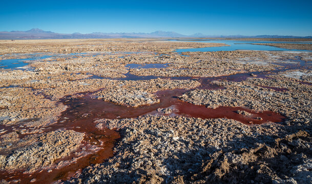 View of Laguna Chaxa salt flats with reddish mineral-rich water, rugged salt crust, and distant mountains under a clear blue sky in San Pedro de Atacama, Antofagasta, Chile.