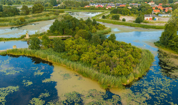 Aerial view of a lush green island surrounded by reeds in a calm pond with residential houses in the background in Gdansk, Pomeranian Voivodeship, Poland.