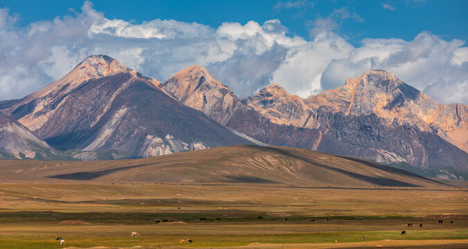 View of the majestic mountain range rising above the vast, grassy plains with grazing livestock under a cloudy blue sky in At-Bashi District, Naryn Region, Kyrgyzstan.