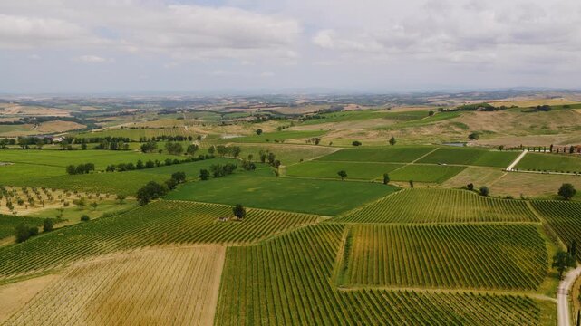 Aerial view of lush green vineyards and rolling hills in the countryside of Montalcino, Tuscany, Italy.