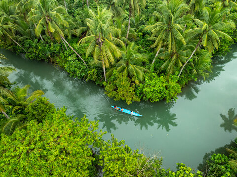 Aerial view of a blue canoe carrying people paddling along the Maasin River, surrounded by lush coconut palm trees and dense tropical vegetation, Siargao, Philippines.