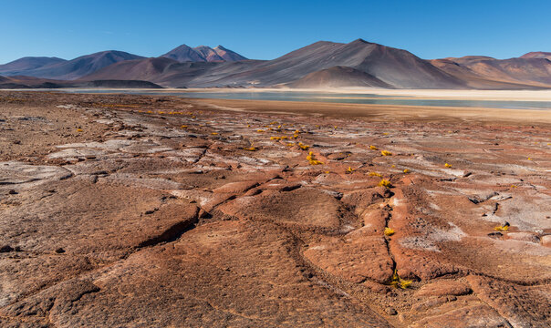 View of Piedras Rojas featuring cracked red earth, sparse vegetation, and a salt lagoon with volcanic mountains under a clear blue sky in San Pedro de Atacama, Antofagasta, Chile.