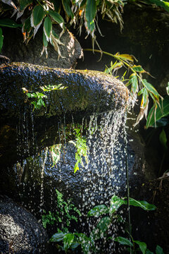 View of a small waterfall cascading over dark mossy rocks surrounded by lush green foliage in Sintra, Lisbon, Portugal.