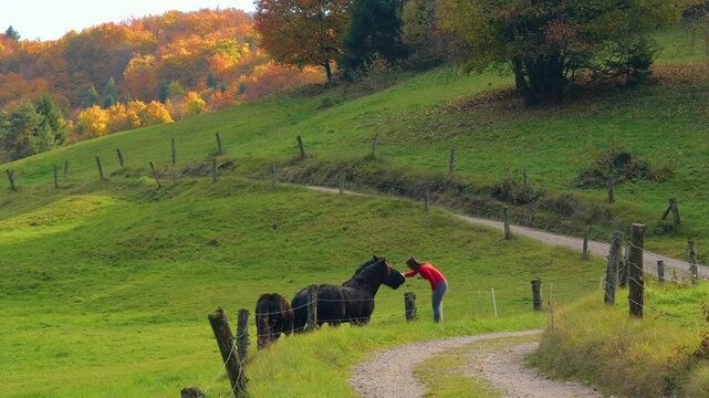 Woman pauses during countryside walk to gently pet a group of horses beside a winding rural track. Green pastures, rolling hills and colorful autumn woodland surround a friendly gathering in Dolenjska