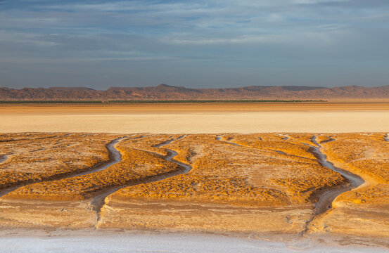 View of the vast salt flat landscape of Chott el Djerid with intricate patterns of dry water channels and distant mountains under a soft sky in Tozeur, Tozeur Governorate, Tunisia.