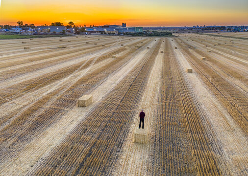 Aerial view of a man standing on a haystack in a harvested field at sunset with industrial buildings in the distance in Einat, Center District, Israel.