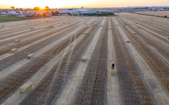 Aerial view of haystacks scattered across a harvested field with a person standing on a bale at sunset near industrial buildings in Einat, Center District, Israel.