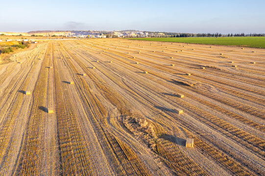 Aerial view of harvested wheat field with scattered haystacks across golden stubble under a clear sky in Einat, Center District, Israel.