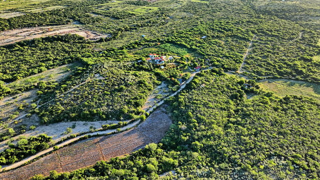 Aerial view of Altos de La Caobita Eco-hotel nestled in the lush green landscape, featuring winding dirt roads, dense vegetation, and agricultural fields in Barrera, Azua, Dominican Republic.