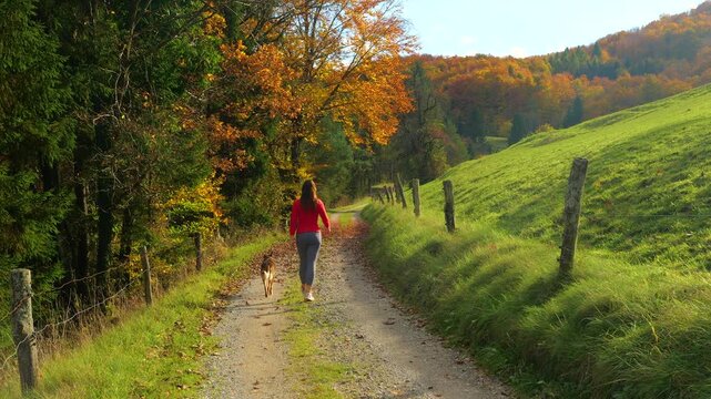 Young woman and her obedient mixed breed dog walk away along a quiet country path. Colourful trees, green hills and warm sunlight form a peaceful and scenic autumn landscape in Dolenjska, Slovenia.