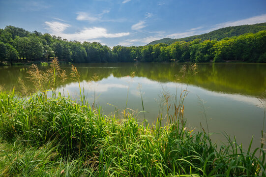 View of Lake Izra surrounded by lush green forests and tall grasses under a blue sky in Slanska Huta, Kosicky kraj, Slovakia.