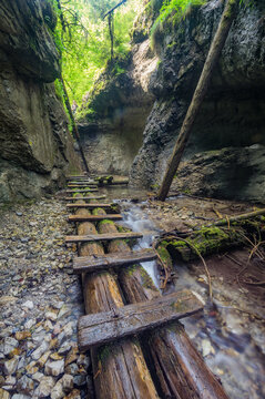 View of Roth Gorge in Slovak Paradise National Park with wooden footbridges over a flowing stream surrounded by mossy rock walls in Stratena, Kosice Region, Slovakia.
