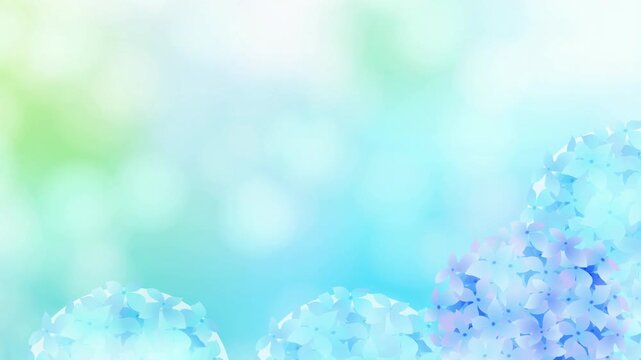 Blue Hydrangea Flowers in Gentle Light 4K