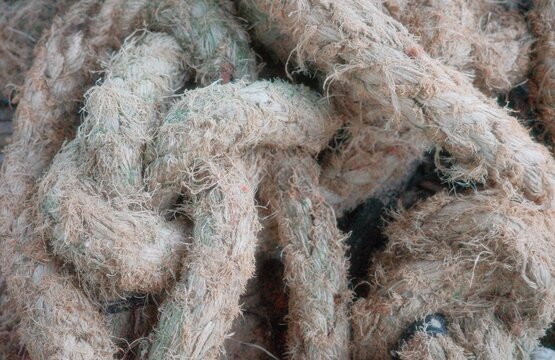 The rope was rough and had noticeably frayed fibers