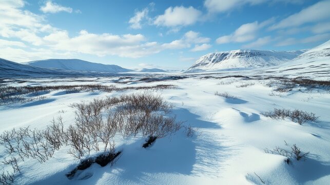 Vast arctic tundra landscape covered in snow with distant mountains under a bright blue sky with clouds