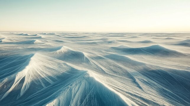 Vast frozen landscape with wind-swept snow dunes under a pale sky during winter
