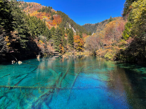 The breathtaking scenery of the crystal-clear turquoise lake with autumn colors at Jiuzhaigou National Park in Sichuan Province, China