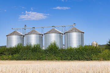 four silos at an agricultural field under blue sky © travelview