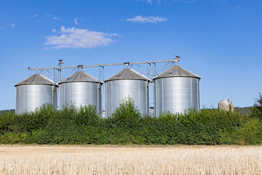 four silos at an agricultural field under blue sky