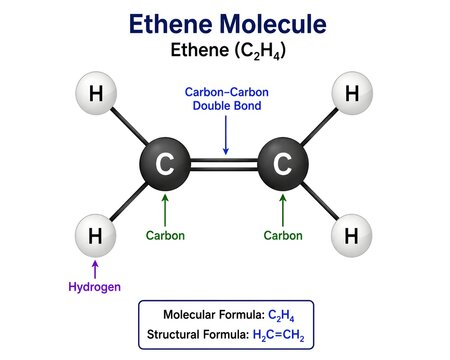 Ethene Chemical Structure, Simple Carbon Double Bond Educational Graphic