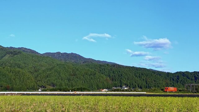 日本の田舎の田園風景と豊かな山々を走る朱色のレトロなローカル線電車　福井県の越美北線
