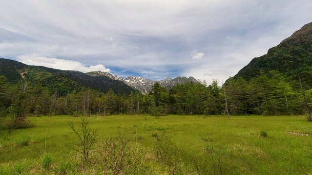 夏の観光名所上高地の田代湿原と穂高連峰の風景