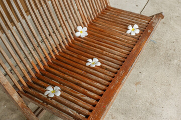 Wooden table and chair and frangipani flowers in restaurant, outdoor cafe scandinavian style,Rattan detailed craftsmanship and pattern,summer beach concept. © wanatithan