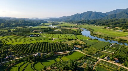 Fototapeta premium Aerial view of green terraced fields and mountains.