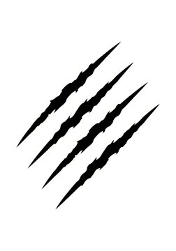 Four Black Animal Claw Marks Scratching Effect Vector Illustration Isolated on White Background