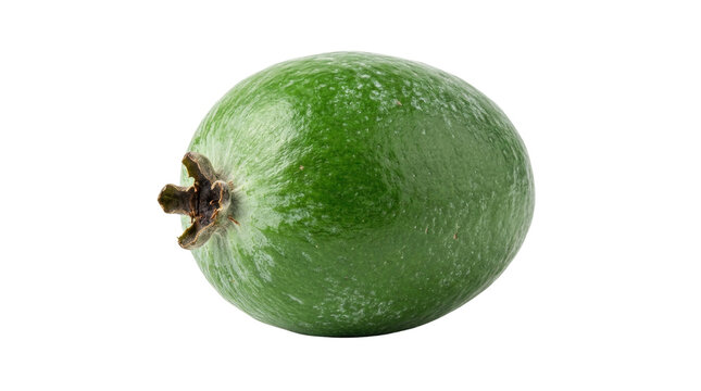 Fresh green feijoa fruit isolated on white background, whole pineapple guava with textured skin, organic exotic fruit for healthy diet