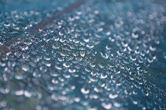 Water droplets rest on a blue mesh net.
