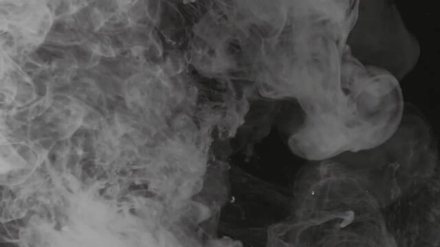 White Smoke or Ink Flowing in Water on Black Background Abstract Background Video
