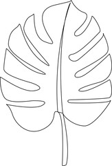 Minimalist continuous line illustration of tropical monstera leaves, featuring elegant botanical foliage in a clean black and white design on a white background. © Md Hasan