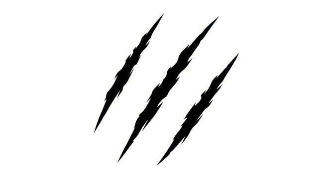 Black Animal Claw Scratch Marks Illustration Isolated on White Background for Graphic Design