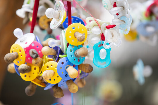 Colorful Baby Pacifiers Hanging from a Traditional Pacifier Tree